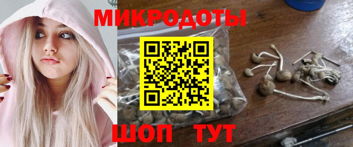 Галлюциногенные грибы Psilocybine cubensis Строитель